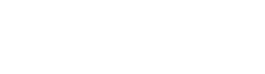 Essential Energy Holding